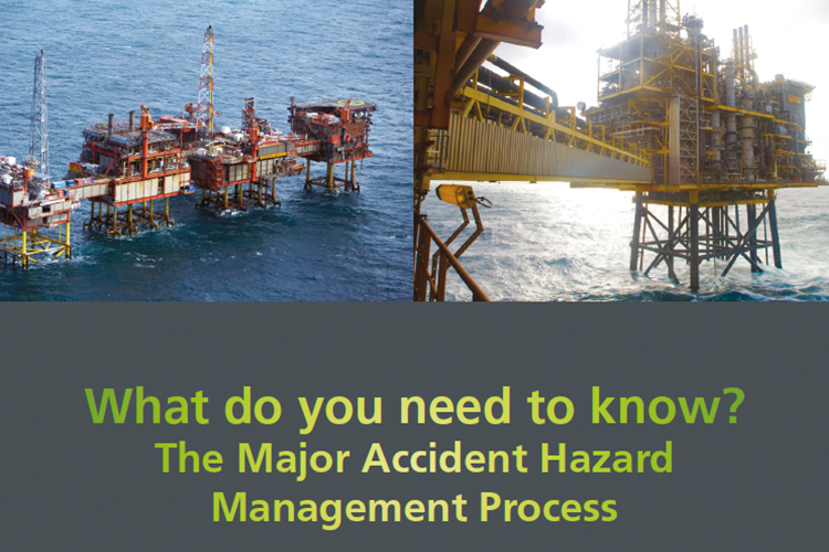 Assurance and Verification Workforce Summary