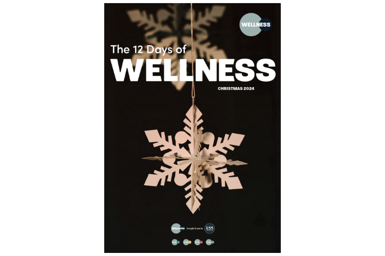 ESS Wellness Newsletter - The 12 Days of Wellness Christmas 2024