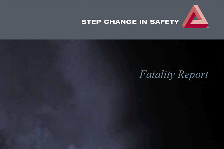 Fatality Report
