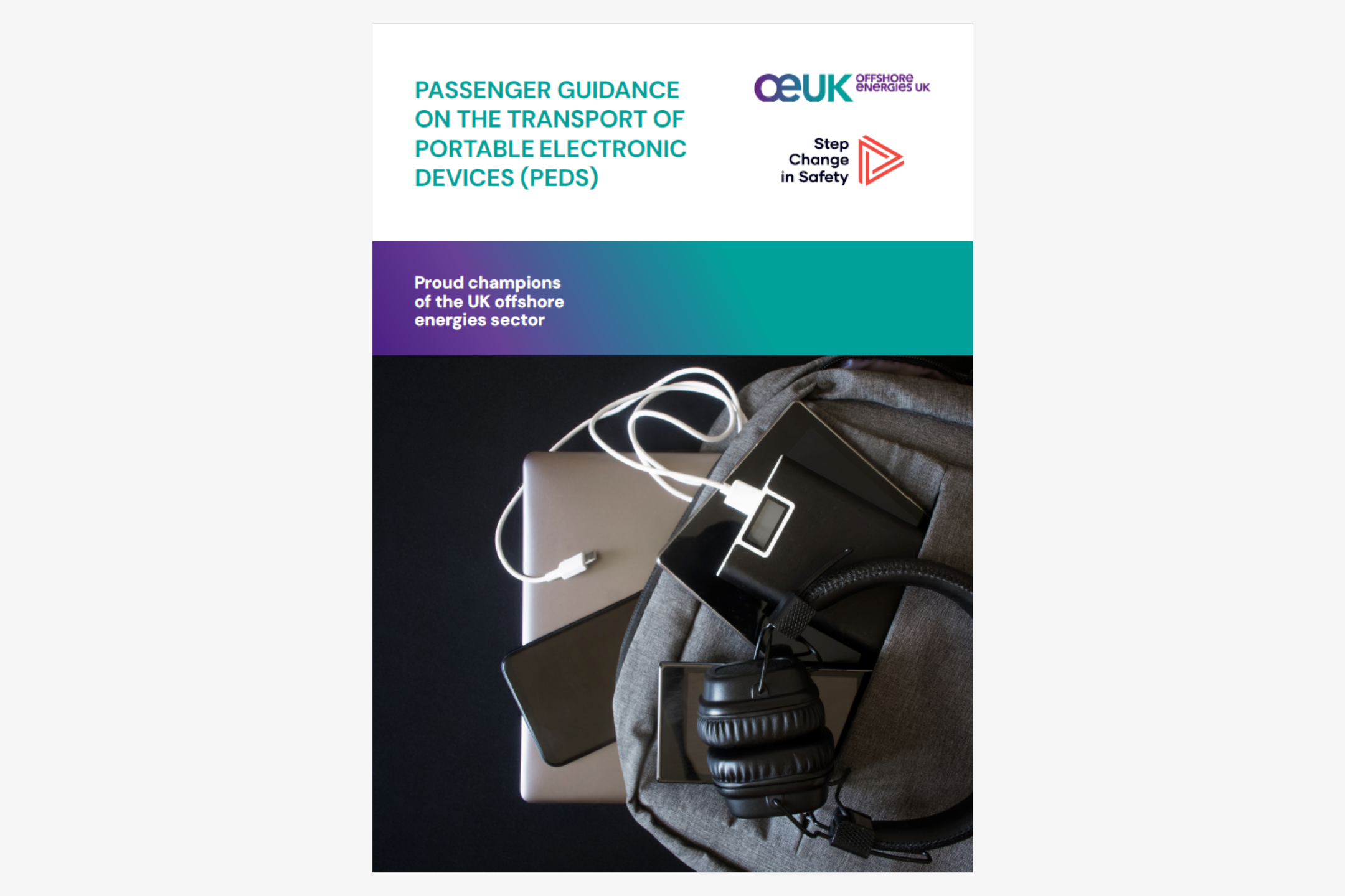 PED Guidance Full Guidance Doc image