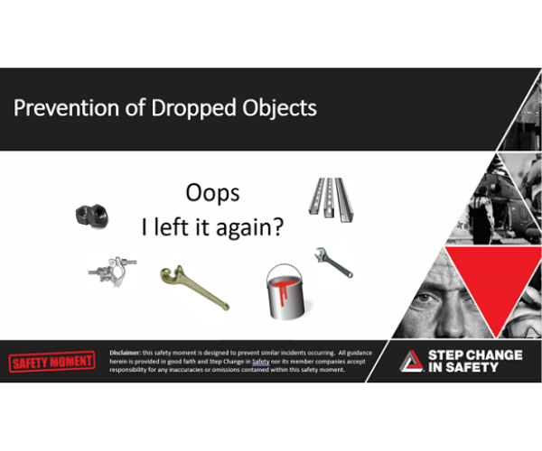 Prevention of Dropped Objects