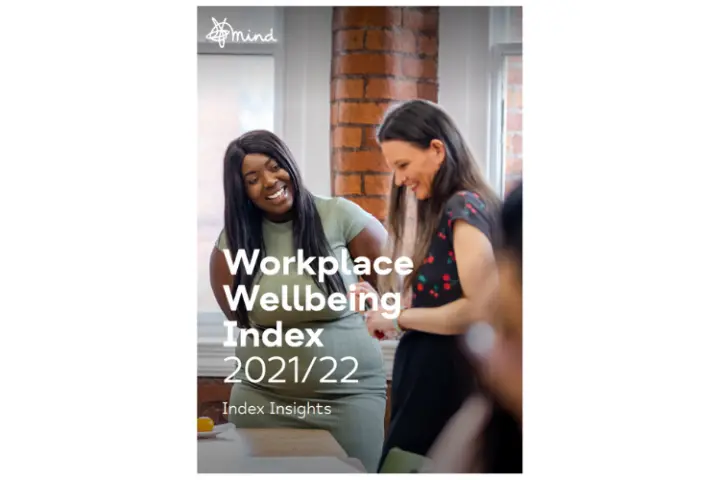 Workplace Wellbeing Index 202122 Index Insights